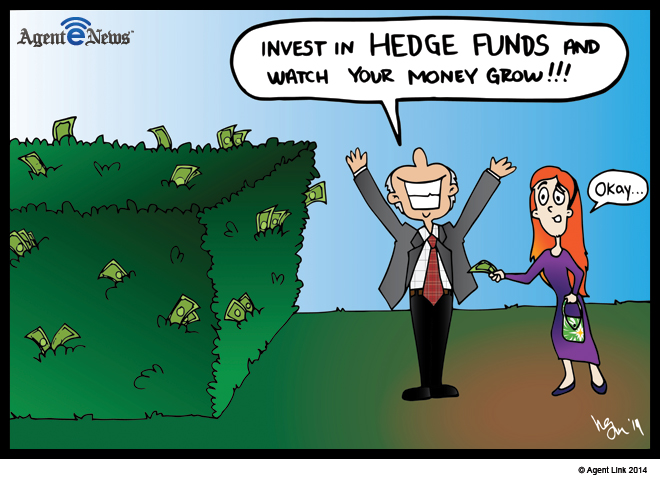 HedgeFund